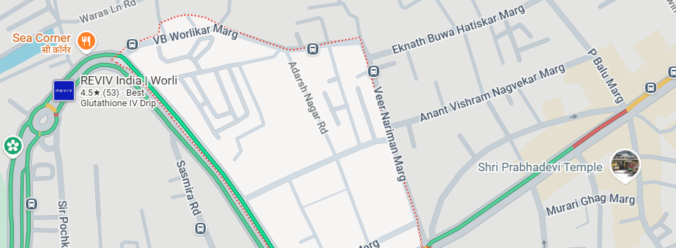 Adani Worli Location
